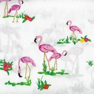 West Palm Flamingos
