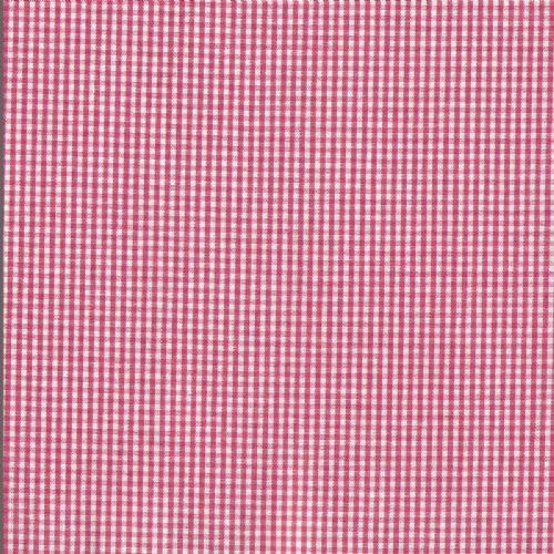 Gingham-Watermelon