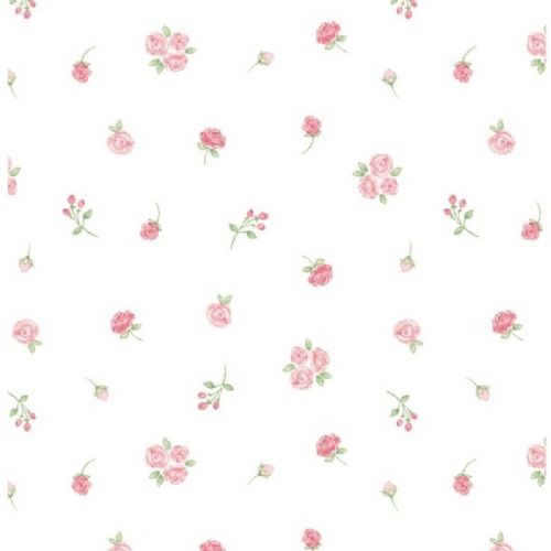 Sea Island Cotton Knit-Tiny Rosebuds