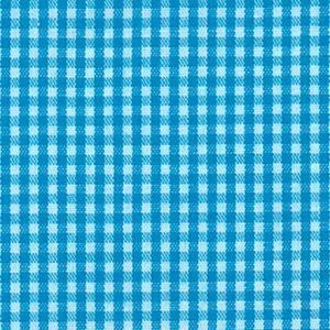 Gingham Turquoise