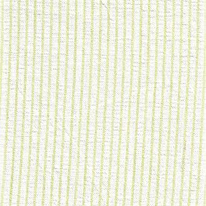 Seersucker Stripe-Cottontail Green
