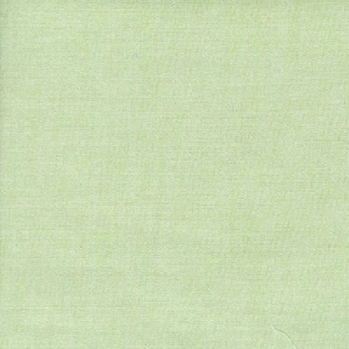 Apple Green Chambray Remnant