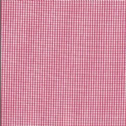 Gingham-Watermelon