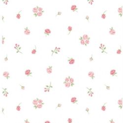 Sea Island Cotton Knit-Tiny Rosebuds