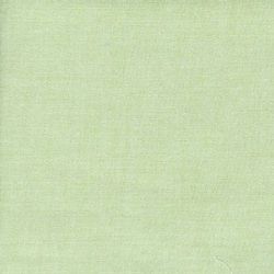 Apple Green Chambray Remnant